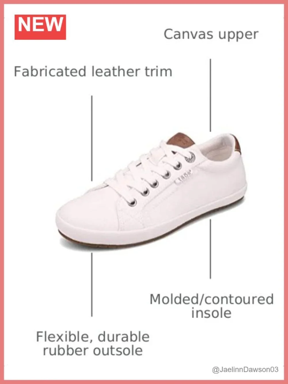 Canvas Lace Up Fashion Sneaker - Low Top Comfort